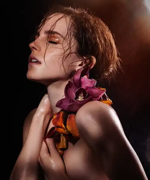 Natural Beauty Book,2013
