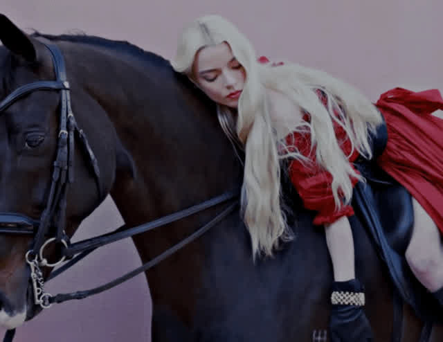 How many horses do you think Anya has ride?