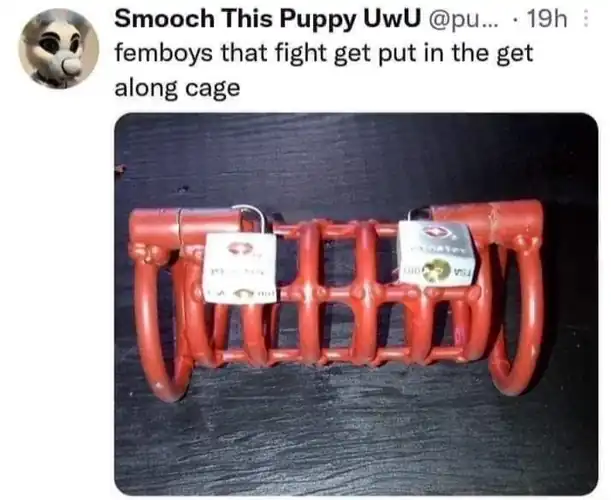 Just need some femboys