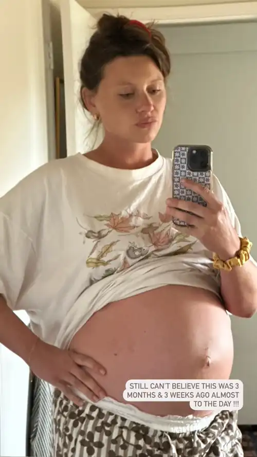 Aly Michalka pregnant 