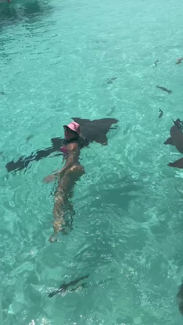 Swimming with Sharks - Instagram (08.12.2024)