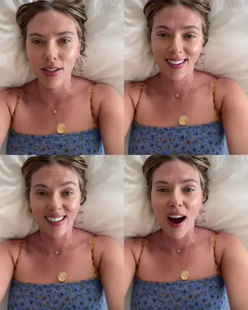 Seflies for the Fans