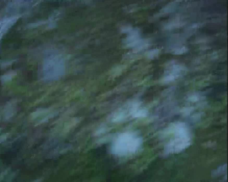 fucked GF's face in the woods (OC)