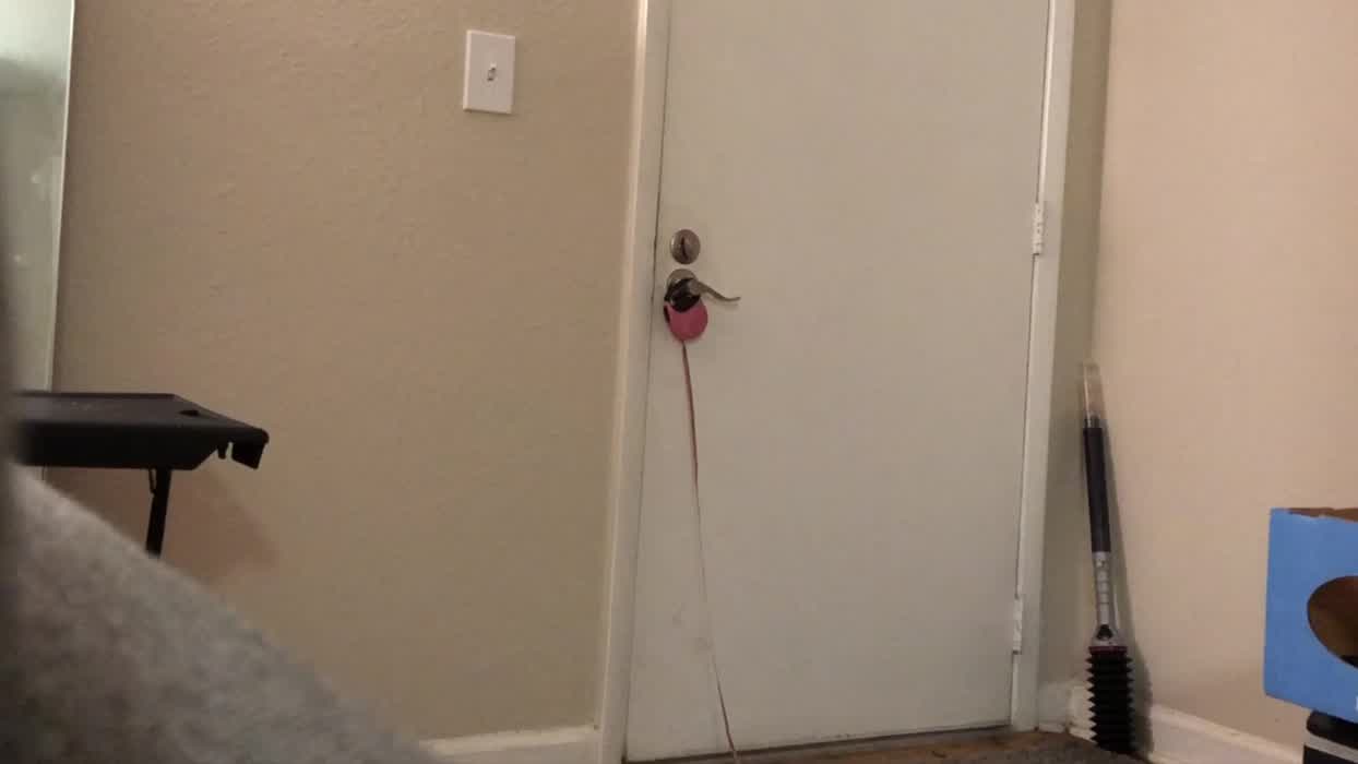 I found my first ever Pizza Dare video, 7 years ago I started this thing before I even knew what Reddit was…. 