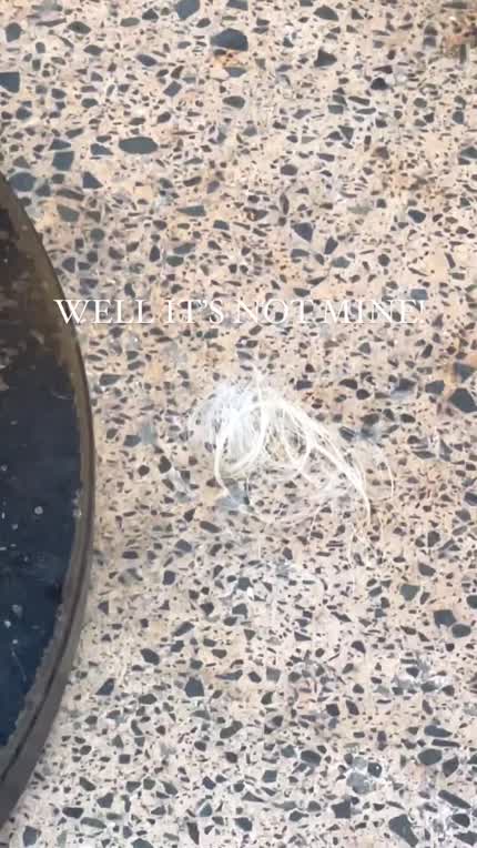 Out to lunch 7/2/2024