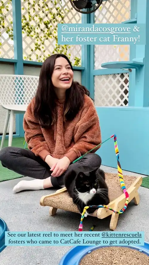 With her foster cat Franny IG 3/29/2024