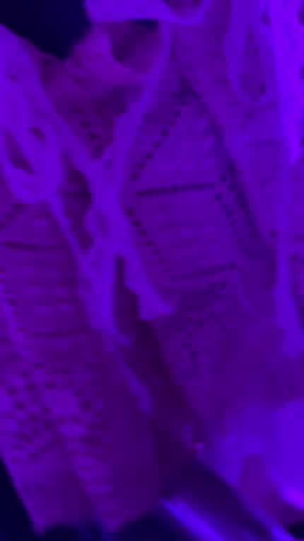 That time I was so close to god