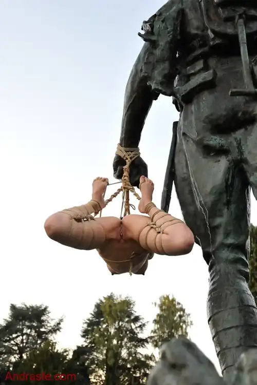 Strung up from the statue. She could only move a little. She couldn’t believe quite how restrictive some thin ropes could be but her entire body was pulled tightly together.