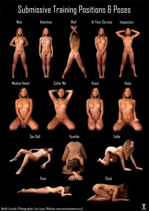 The positions all women should know by heart