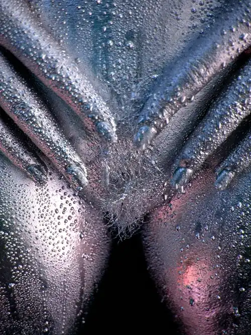 Droplets - By FleshandColor, San Diego