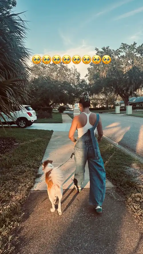 Taking Roger for a walk 8/14/2024