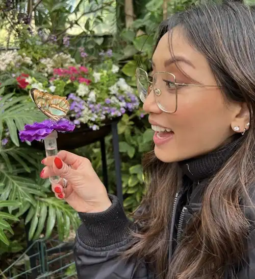 Butterflies and Flowers - IG 4/14/23