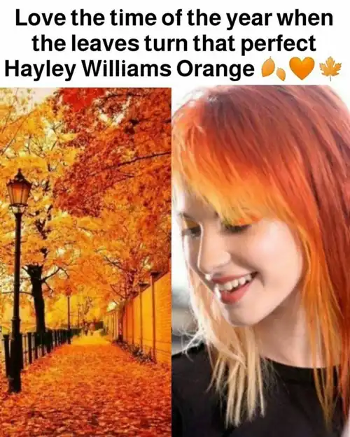 Everything reminds me of her