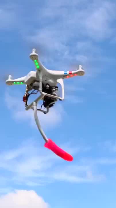 RC Drone dildo