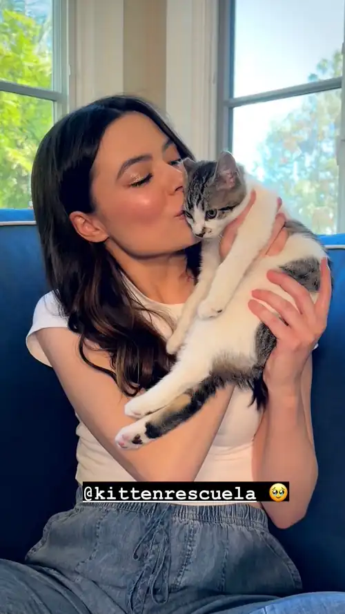 Kissing her kitten IG 7/18/2024