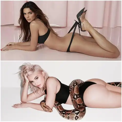 Kendall Jenner or Kylie Jenner