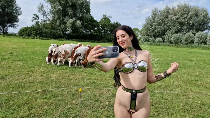 I made it! 5 days of denial, in complete chastity, this was on my last day of chastity, u/fotoro bringed me to see cute cows and added a little bell on my collar. I was having only one short break in the morning for showering and cleaning the belt🥹🥰