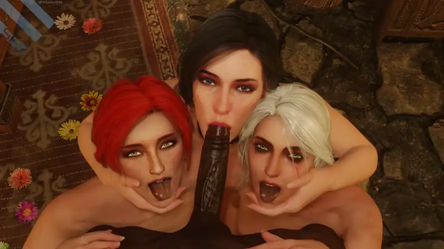 Triss, Yennefer and Ciri (Echiee)