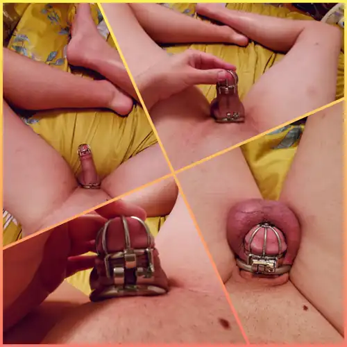 I've been wondering about this cage for a long time. Could I even fit? As with many things, patience is a virtue.