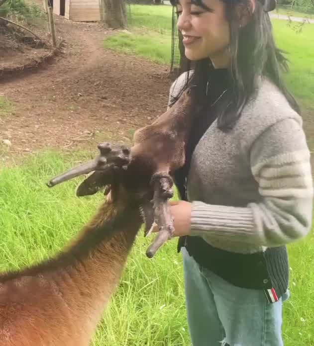 Luckiest animal