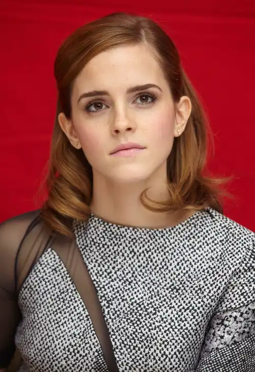 The Bling Ring press conference, 2013