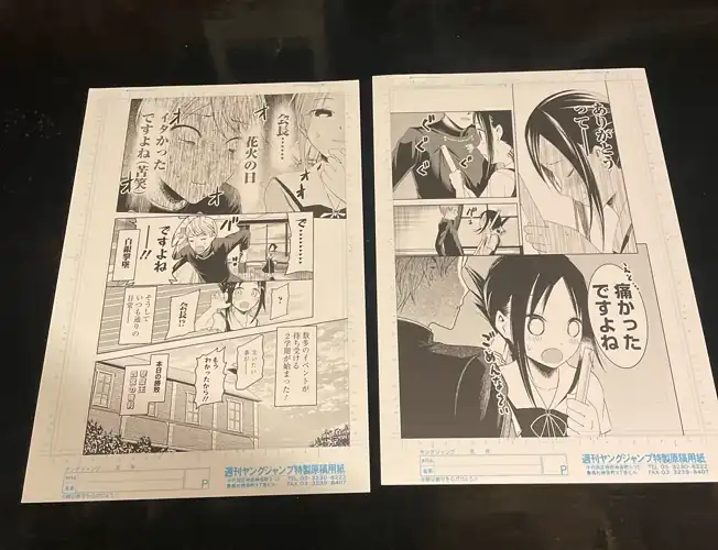 Can someone identify these panels?