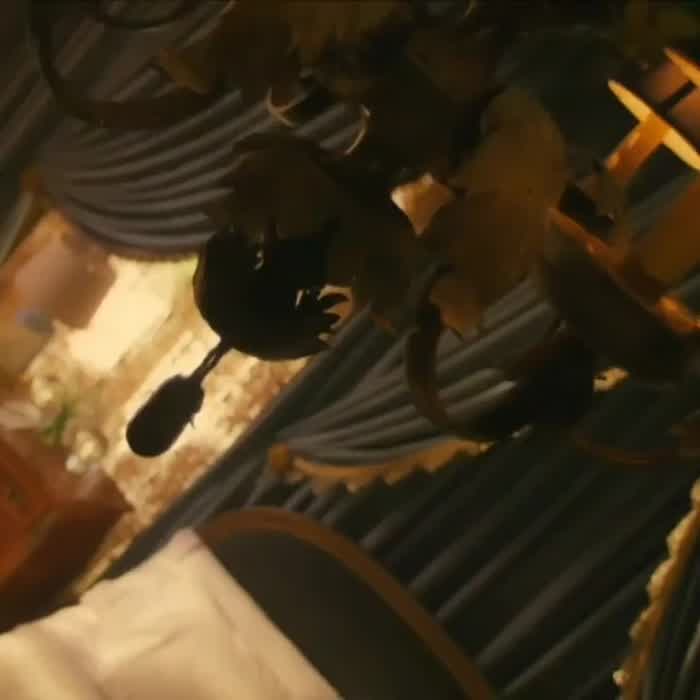 Priyanaka Chopra scene in Citadel