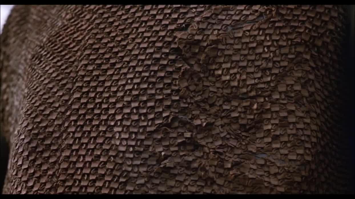 Roxanne Kernohan in Critters 2. It was a pretty good topless scene for a PG-13 movie. (1988)