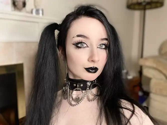 Whats the difference between a collared slut and a mosquito? The mosquito stops sucking if you slap it.