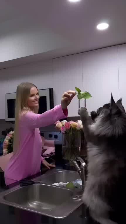 Zienna Eve Sonne & cat [2024-02-26]
