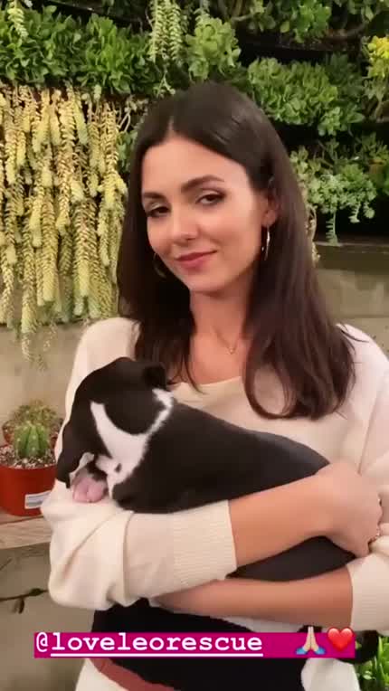 We’ve passed 9000 members. Here’s Victoria cuddling a puppy to celebrate