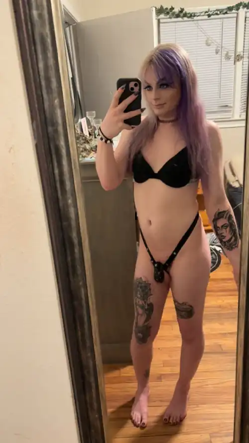 This new cage is so cute what do you think? 