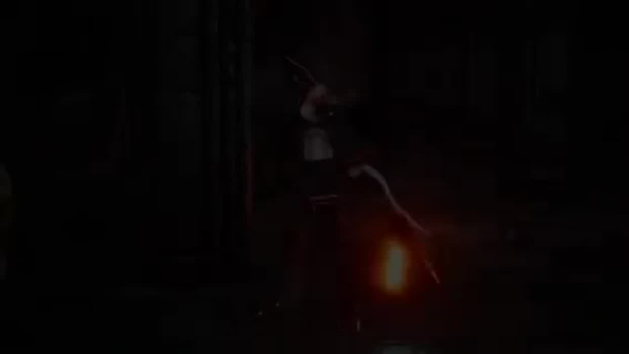 Trapped in a mimic chest