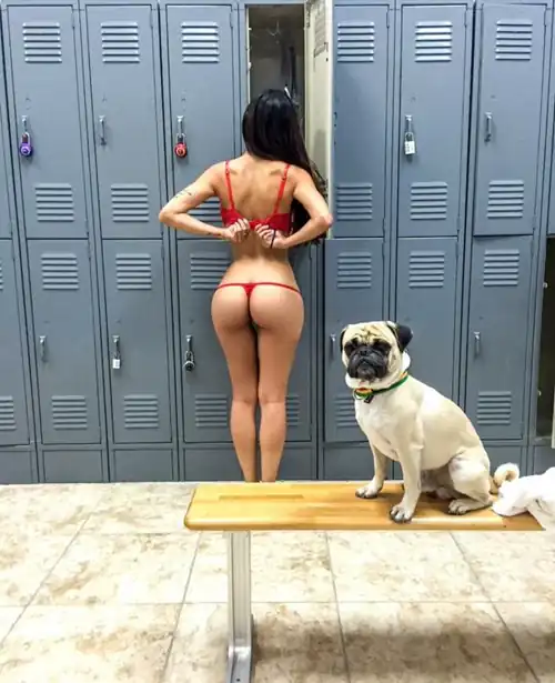 pooch