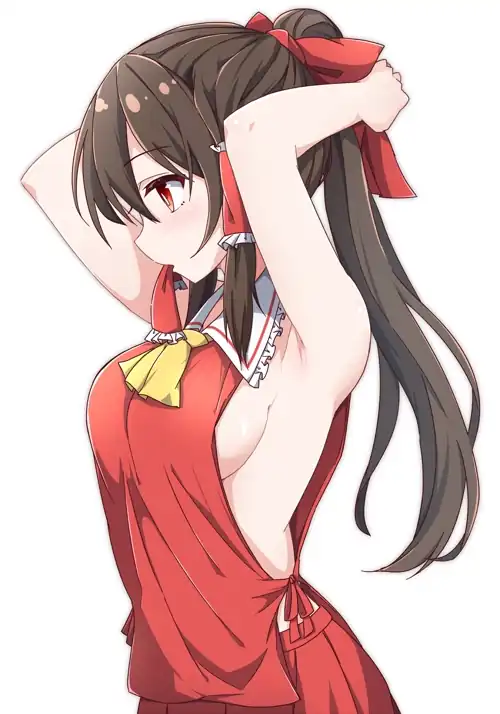 Hakurei Reimu [Touhou]