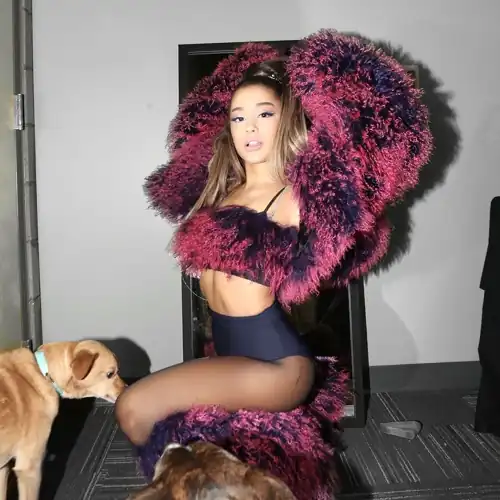 Instagram - 03-17-2019