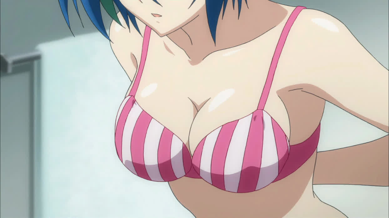 Xenovia