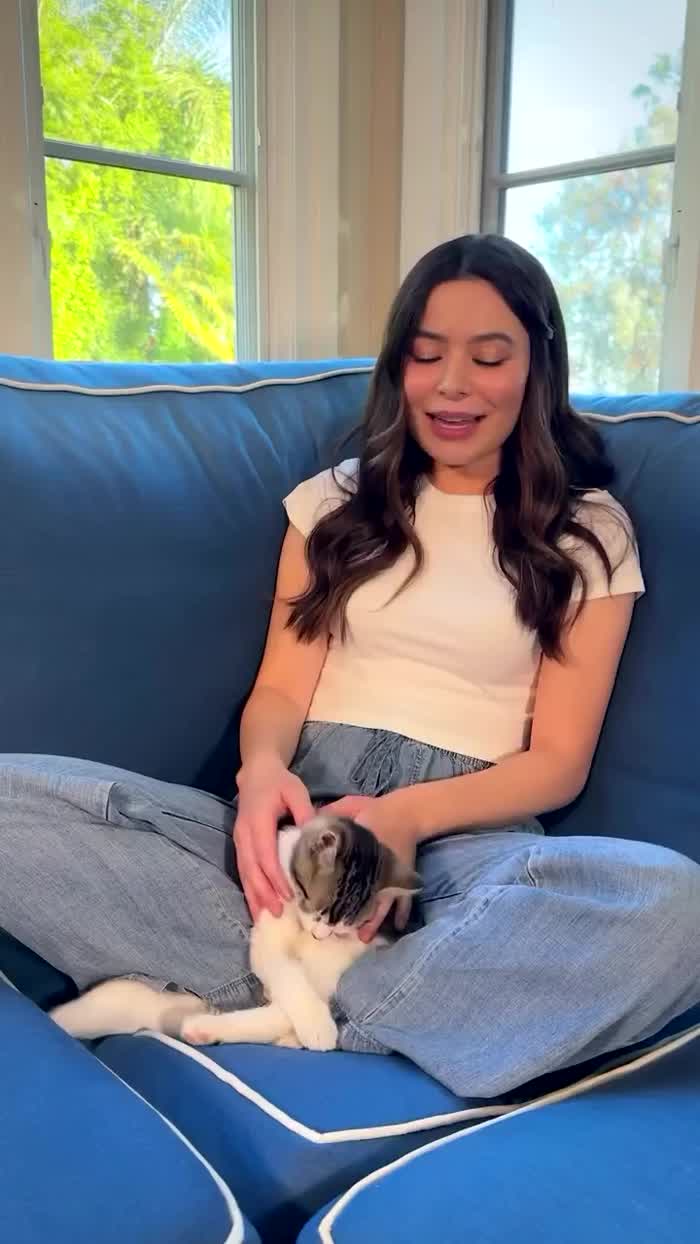 Petting a foster cat IG 7/18/2024
