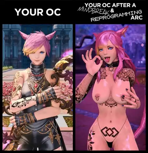 We keep getting asked by new members which grand company the fc is under, they usually figure it out pretty quickly