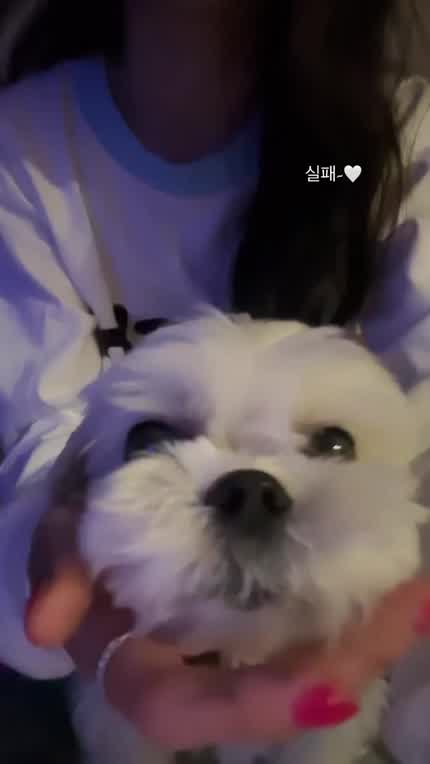 Jisoo IG Story(1) 230506