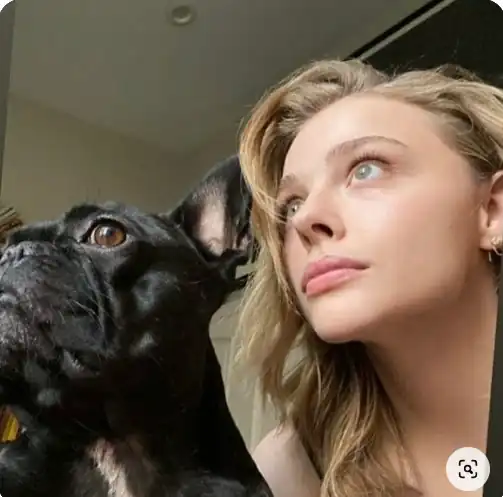 Laser-Focused 😂👀🐶🖤