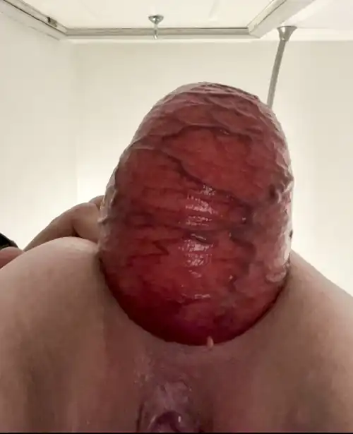 So big, it’s a whole meal 