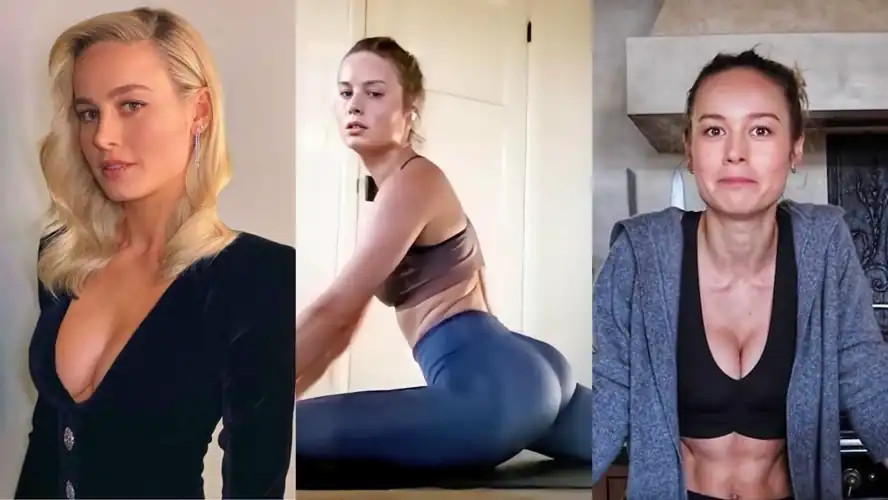 Do you think Brie has ever let someone buttfuck her?