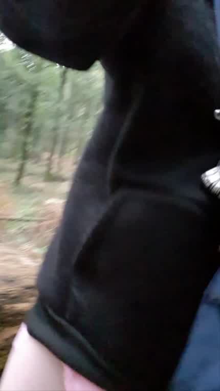 What are you doing if you found me in the forest like this?