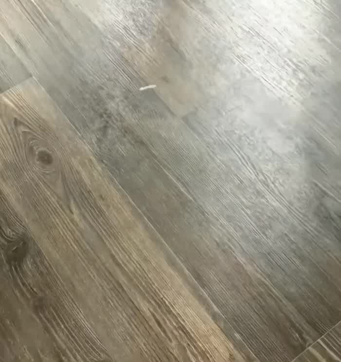 Zendaya for (ON) and the Olympic games 