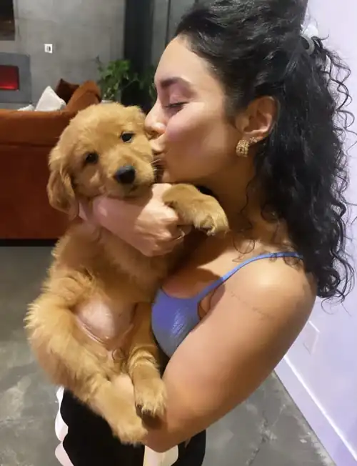 Puppy Love on Instagram (May 2023)