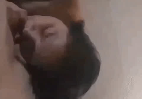 You have to give attention to the tip, I love that precum