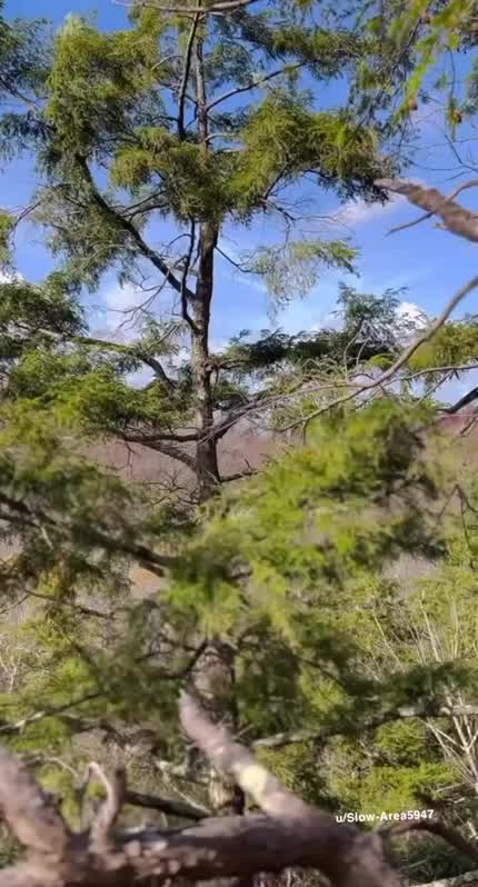 Not perfect but all natural 😍