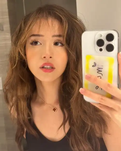 “I don’t care if you cum to pictures of me, just stop stealing and cumming all over my bras and underwear.” -My sister Pokimane