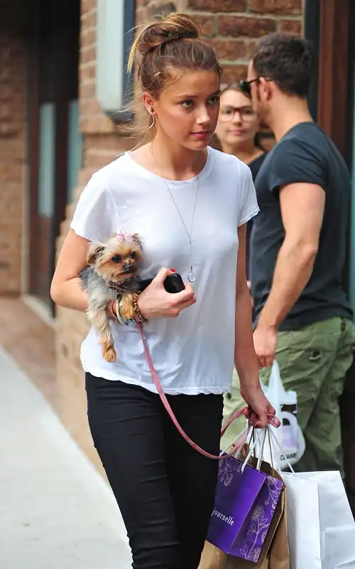 Lucky puppy!